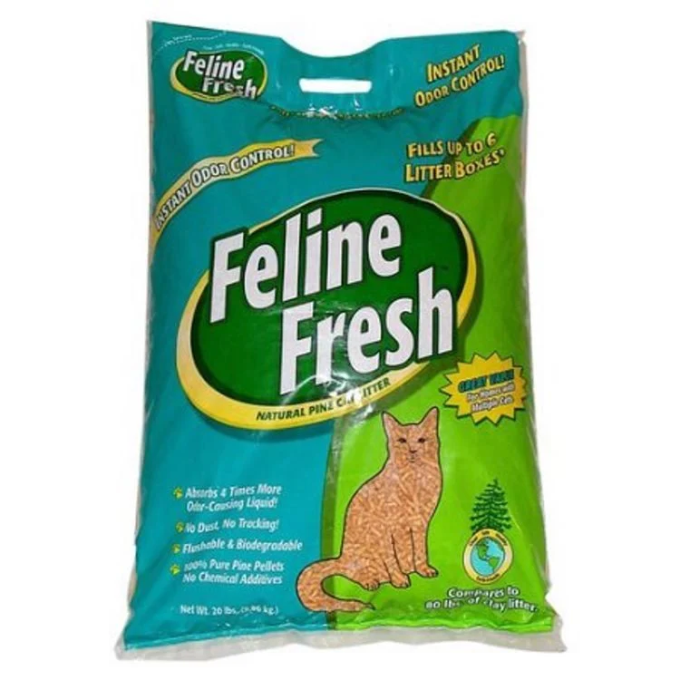 Top Picks - Cat Supplies
